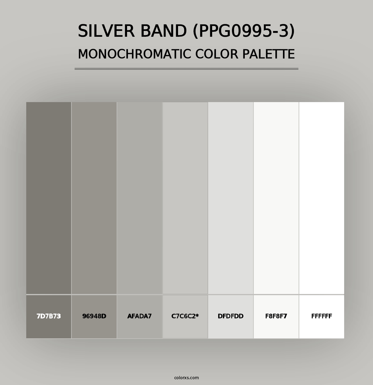 Silver Band (PPG0995-3) - Monochromatic Color Palette