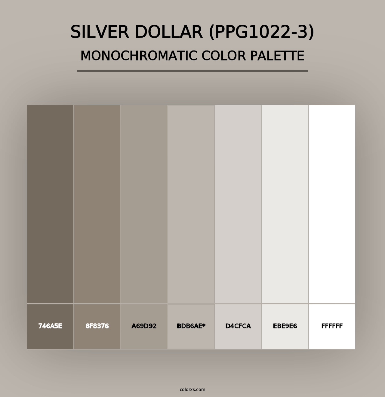 Silver Dollar (PPG1022-3) - Monochromatic Color Palette