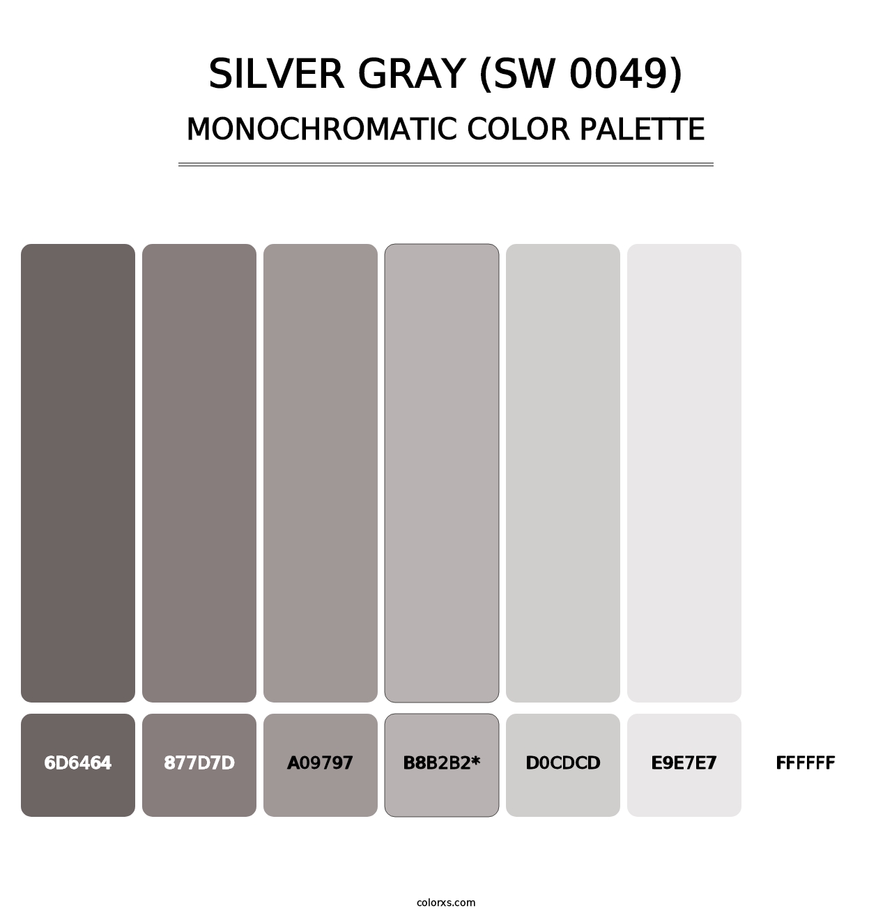 Silver Gray (SW 0049) - Monochromatic Color Palette