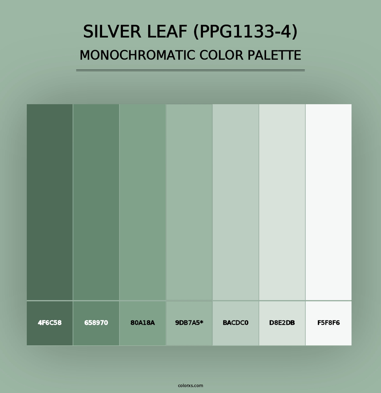 Silver Leaf (PPG1133-4) - Monochromatic Color Palette