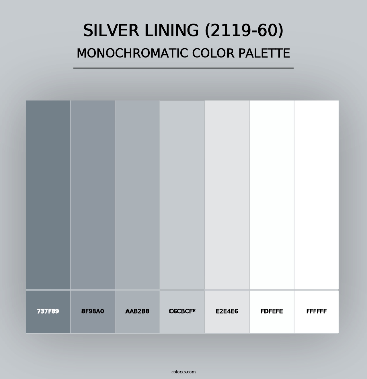 Silver Lining (2119-60) - Monochromatic Color Palette