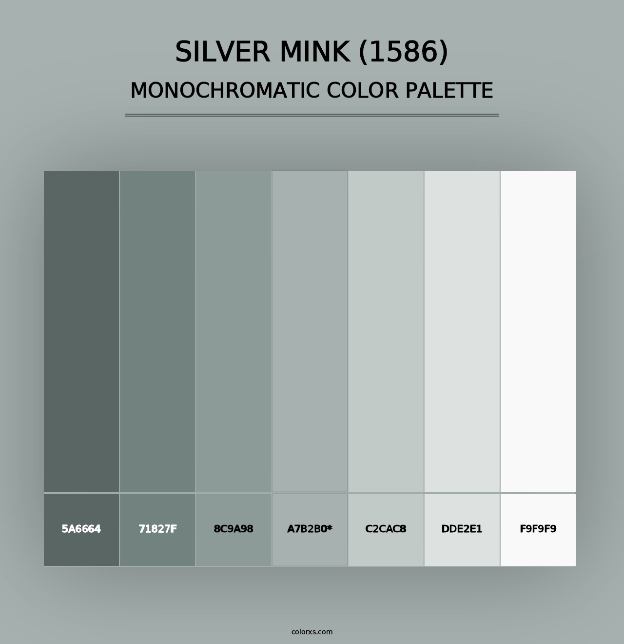 Silver Mink (1586) - Monochromatic Color Palette