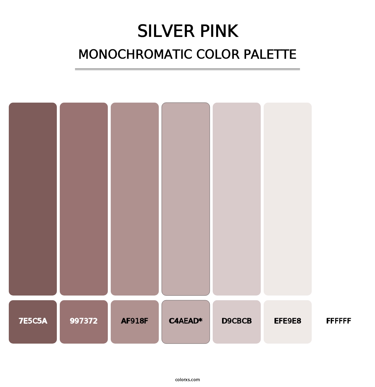 Silver Pink - Monochromatic Color Palette