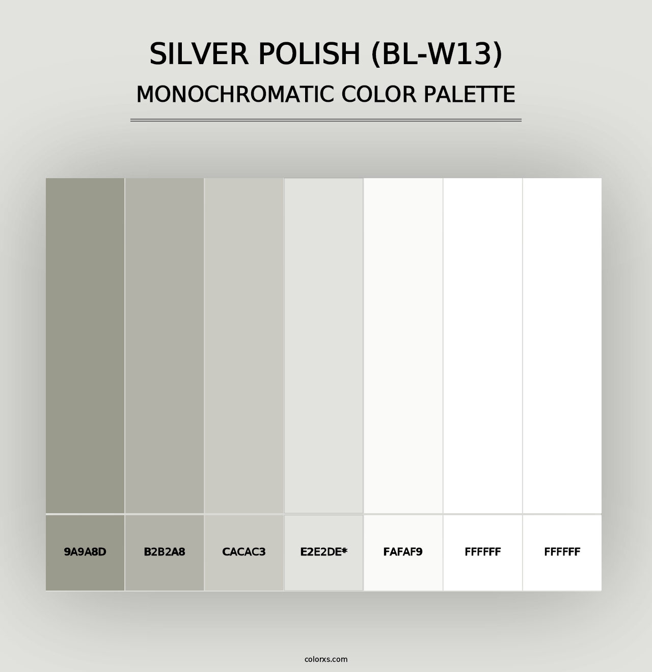 Silver Polish (BL-W13) - Monochromatic Color Palette