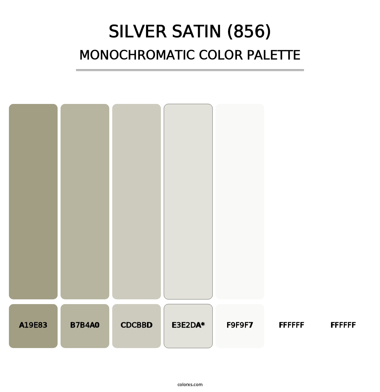 Silver Satin (856) - Monochromatic Color Palette