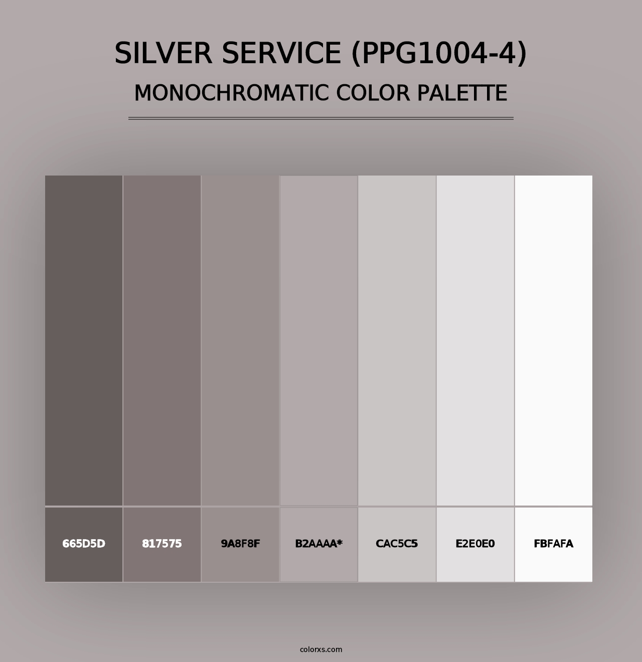 Silver Service (PPG1004-4) - Monochromatic Color Palette