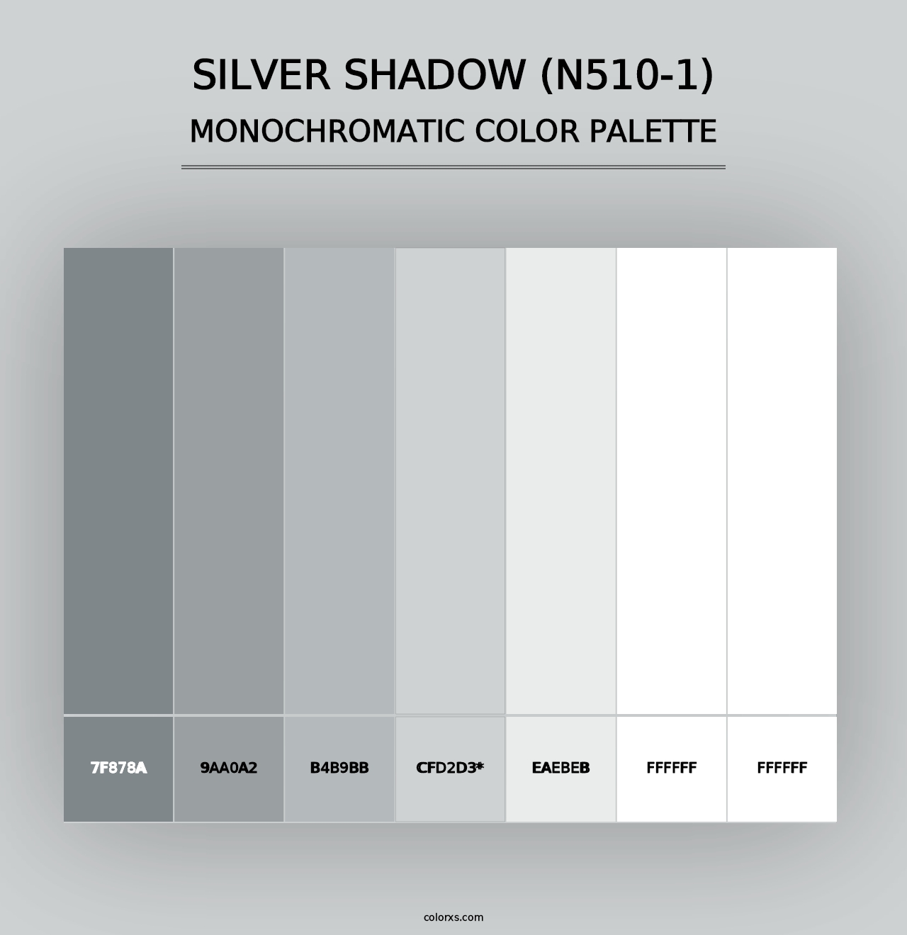 Silver Shadow (N510-1) - Monochromatic Color Palette