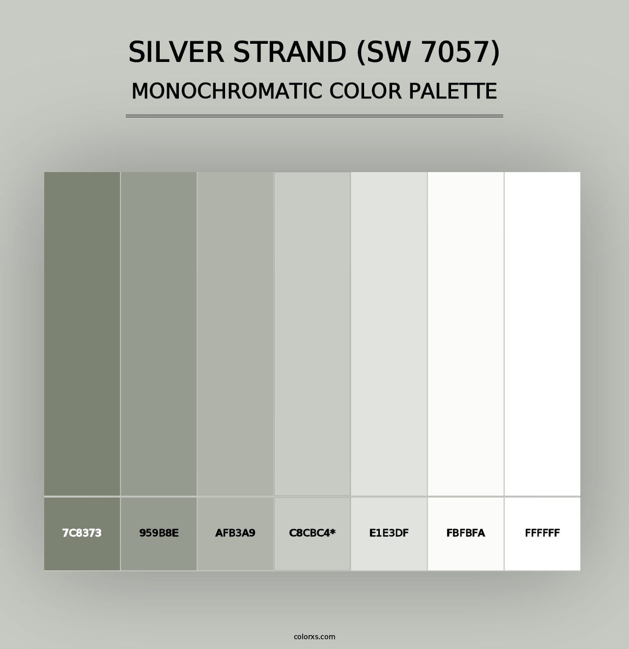 Silver Strand (SW 7057) - Monochromatic Color Palette