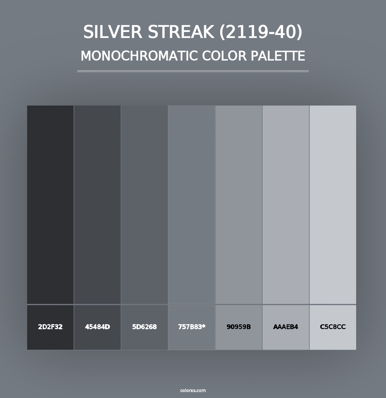 Silver Streak (2119-40) - Monochromatic Color Palette