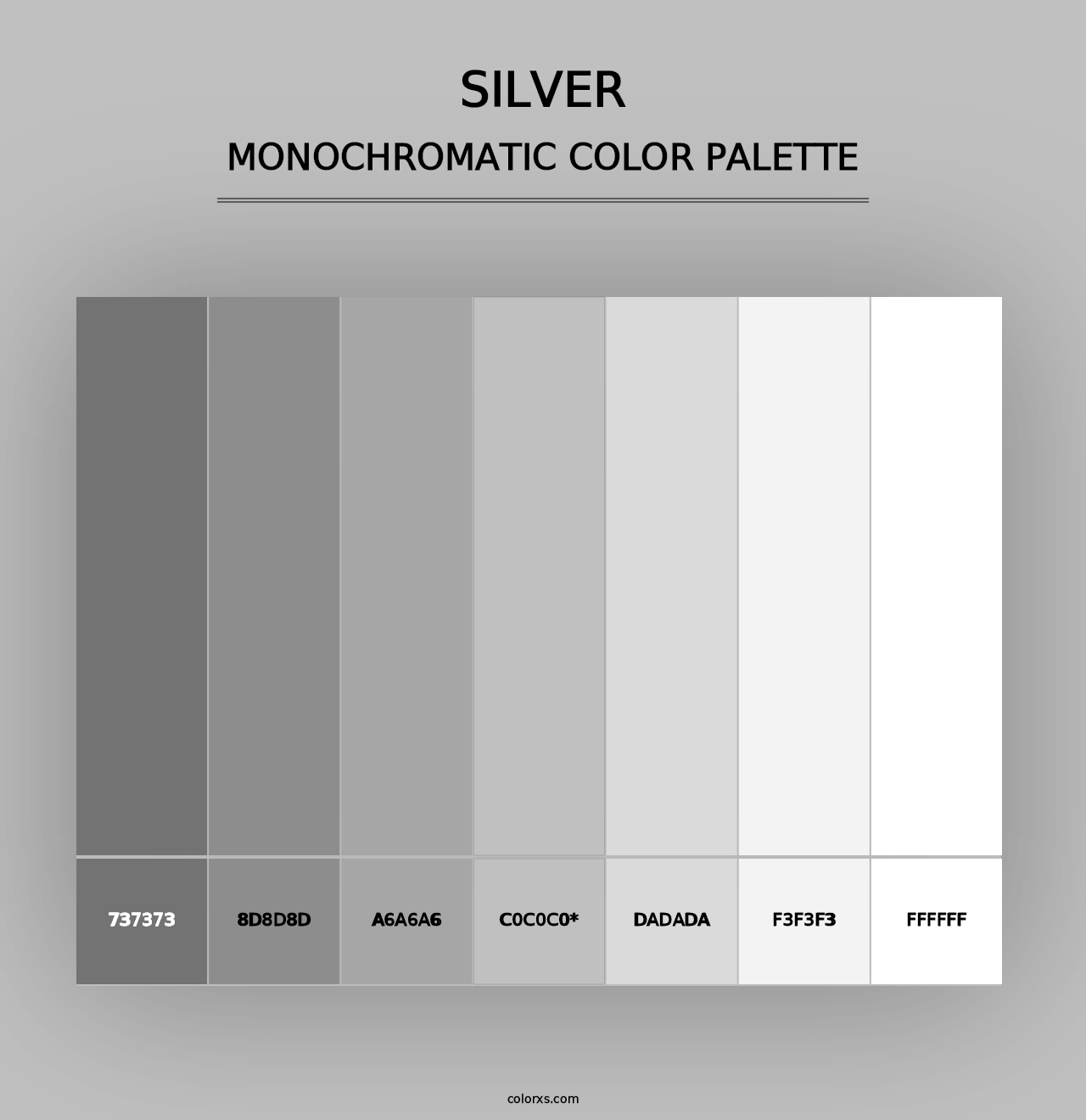 Silver - Monochromatic Color Palette