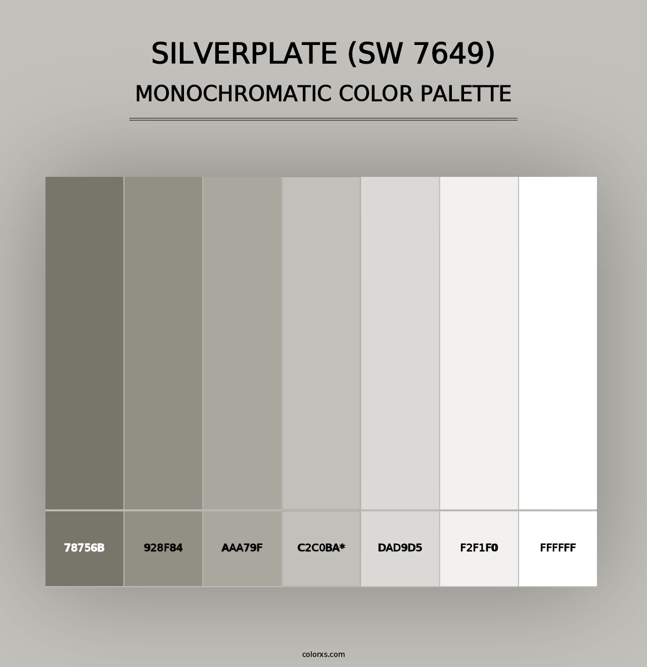 Silverplate (SW 7649) - Monochromatic Color Palette