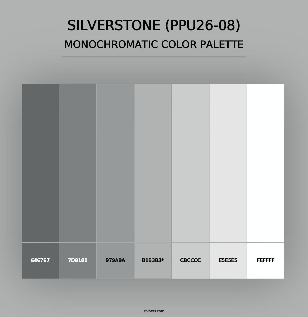 Silverstone (PPU26-08) - Monochromatic Color Palette