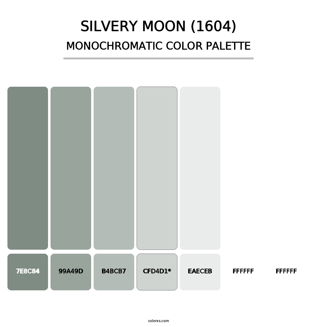 Silvery Moon (1604) - Monochromatic Color Palette