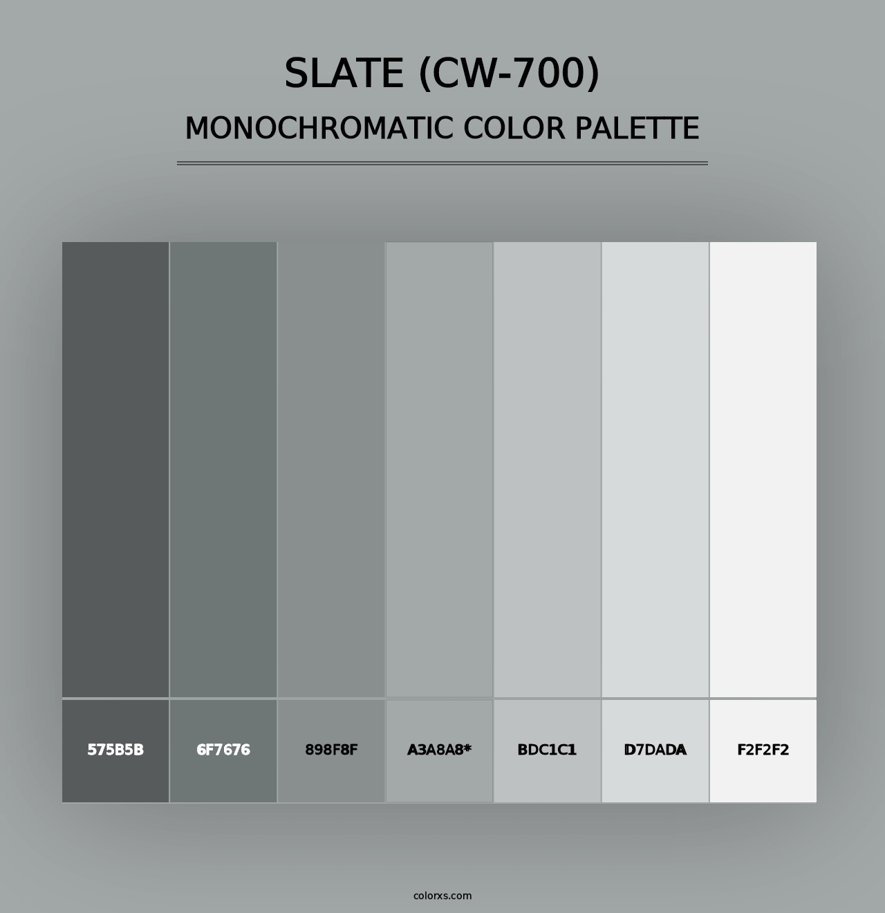 Slate (CW-700) - Monochromatic Color Palette