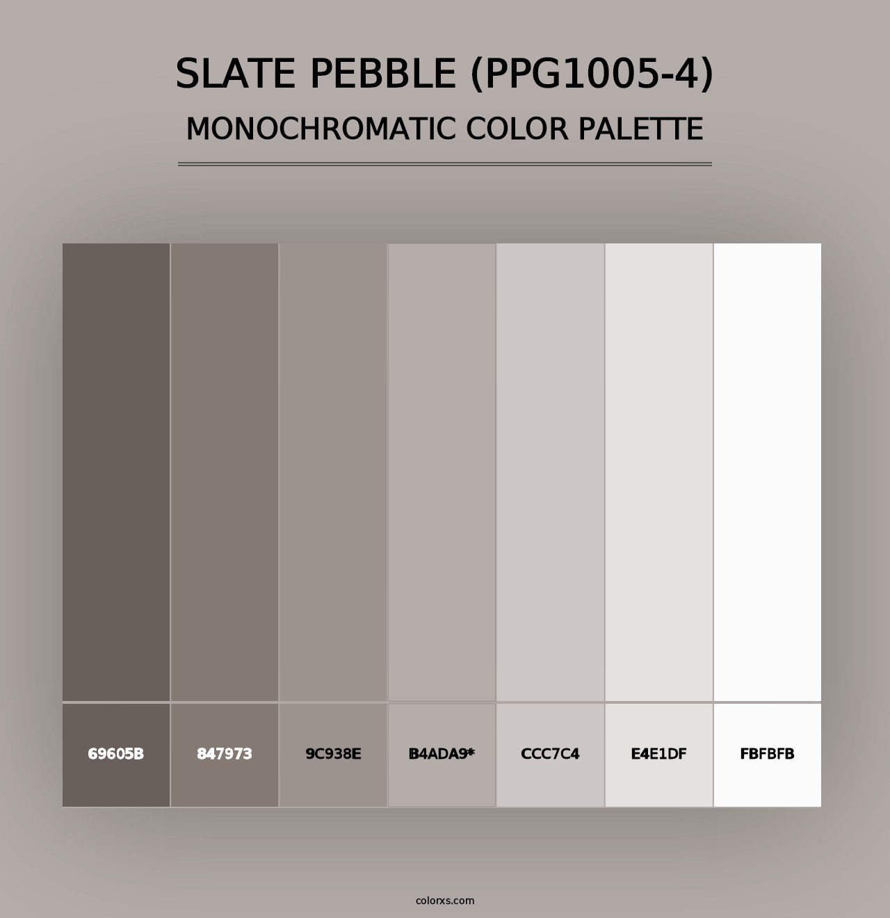 Slate Pebble (PPG1005-4) - Monochromatic Color Palette