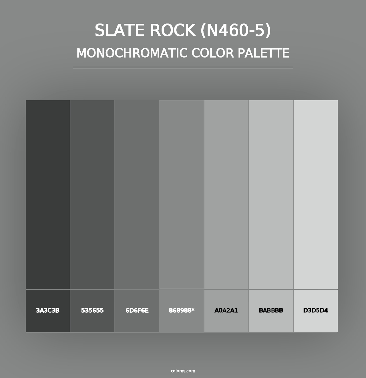 Slate Rock (N460-5) - Monochromatic Color Palette