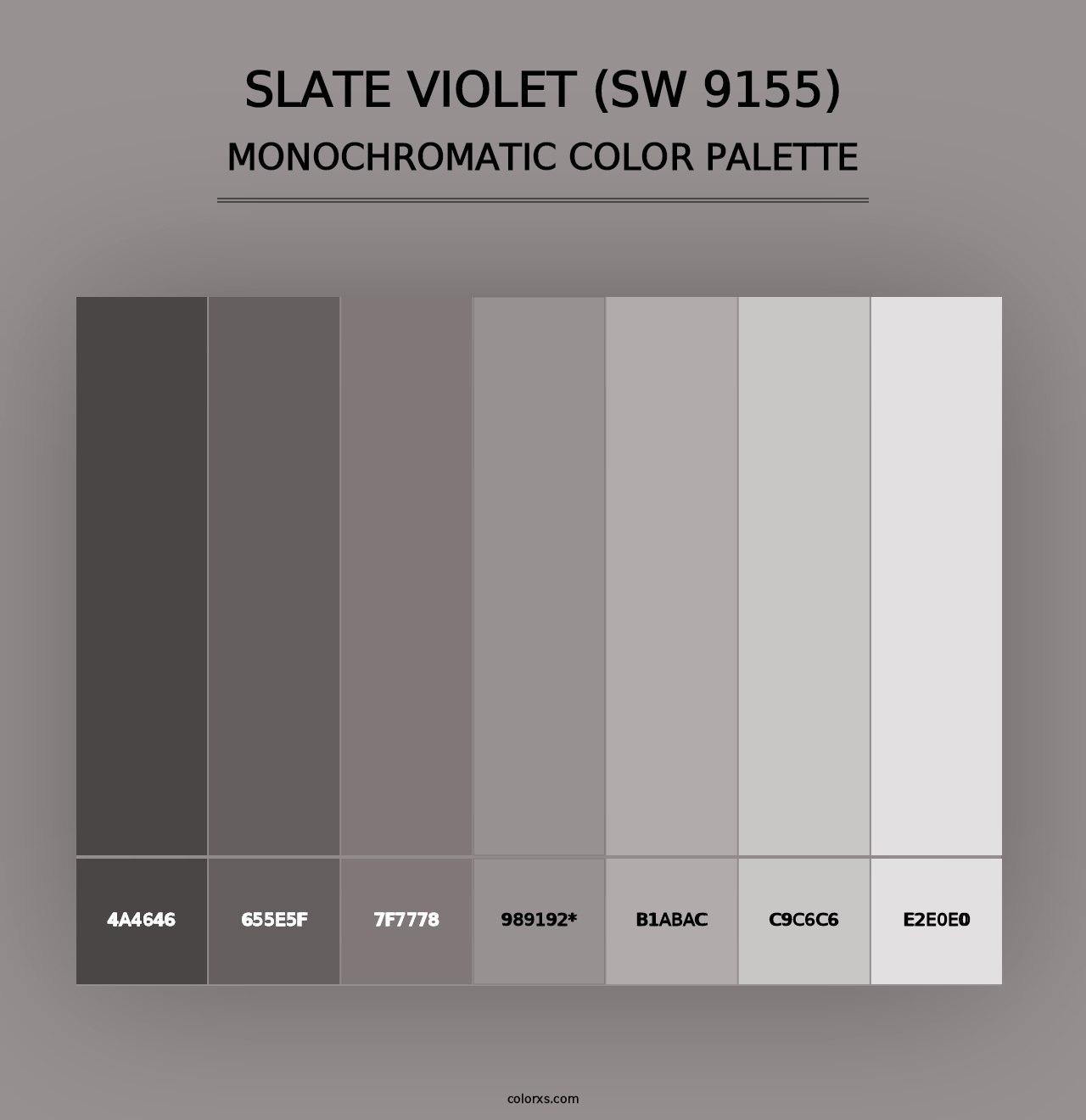 Slate Violet (SW 9155) - Monochromatic Color Palette