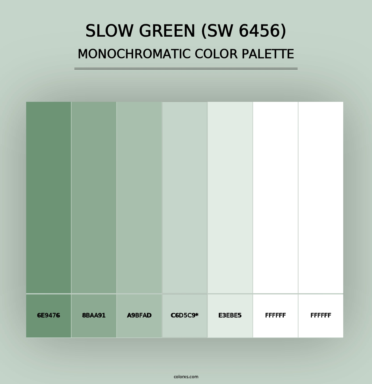 Slow Green (SW 6456) - Monochromatic Color Palette