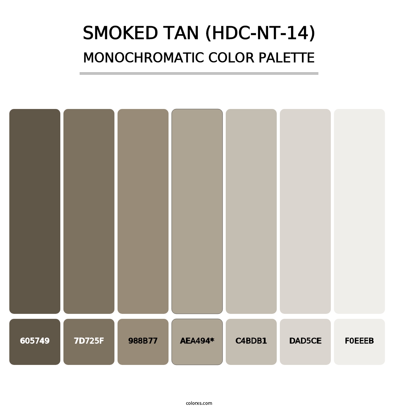 Smoked Tan (HDC-NT-14) - Monochromatic Color Palette