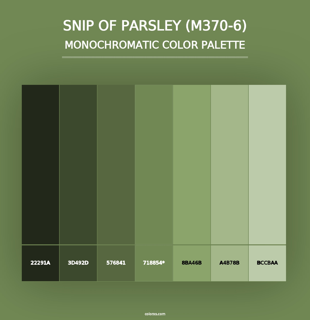 Snip Of Parsley (M370-6) - Monochromatic Color Palette