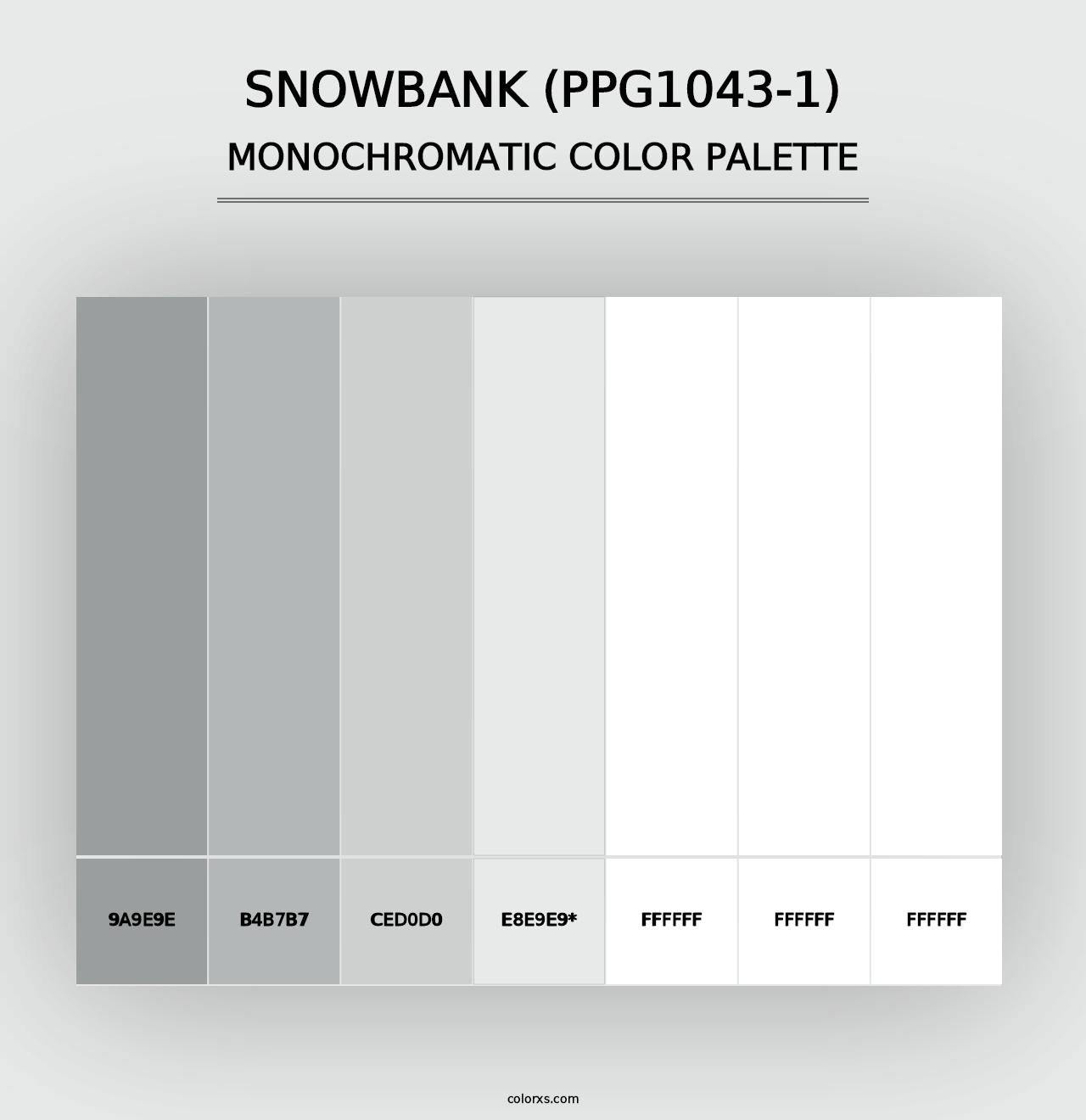 Snowbank (PPG1043-1) - Monochromatic Color Palette