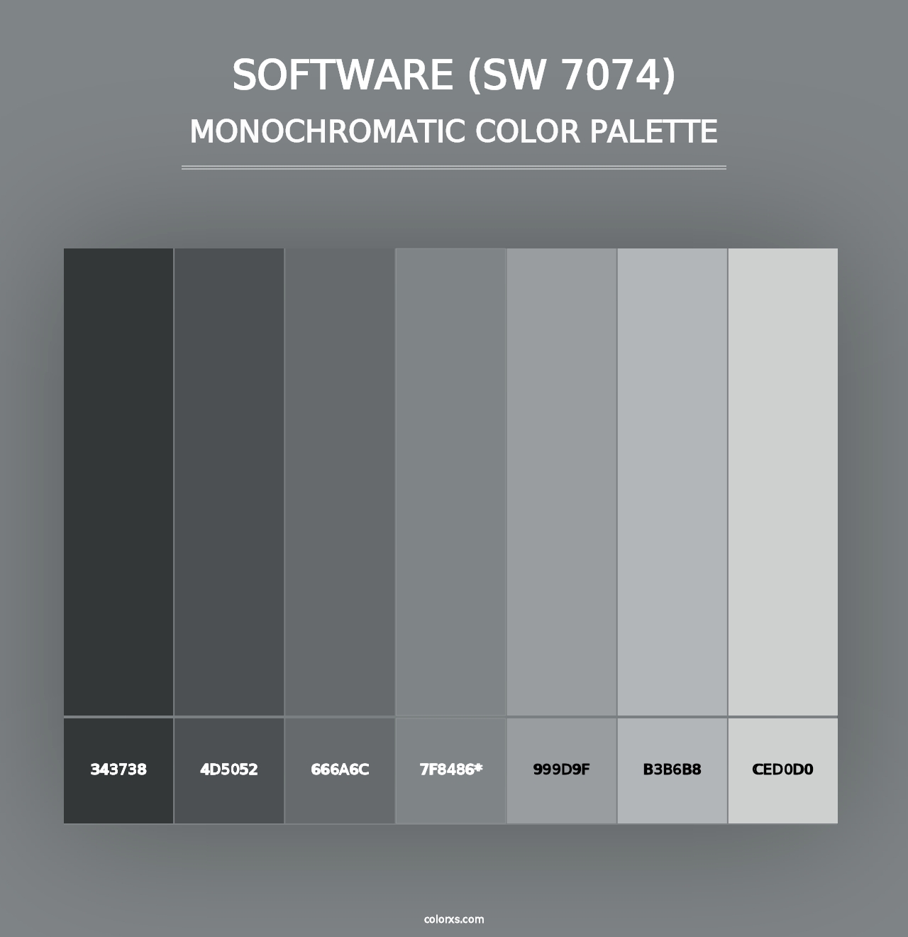 Software (SW 7074) - Monochromatic Color Palette