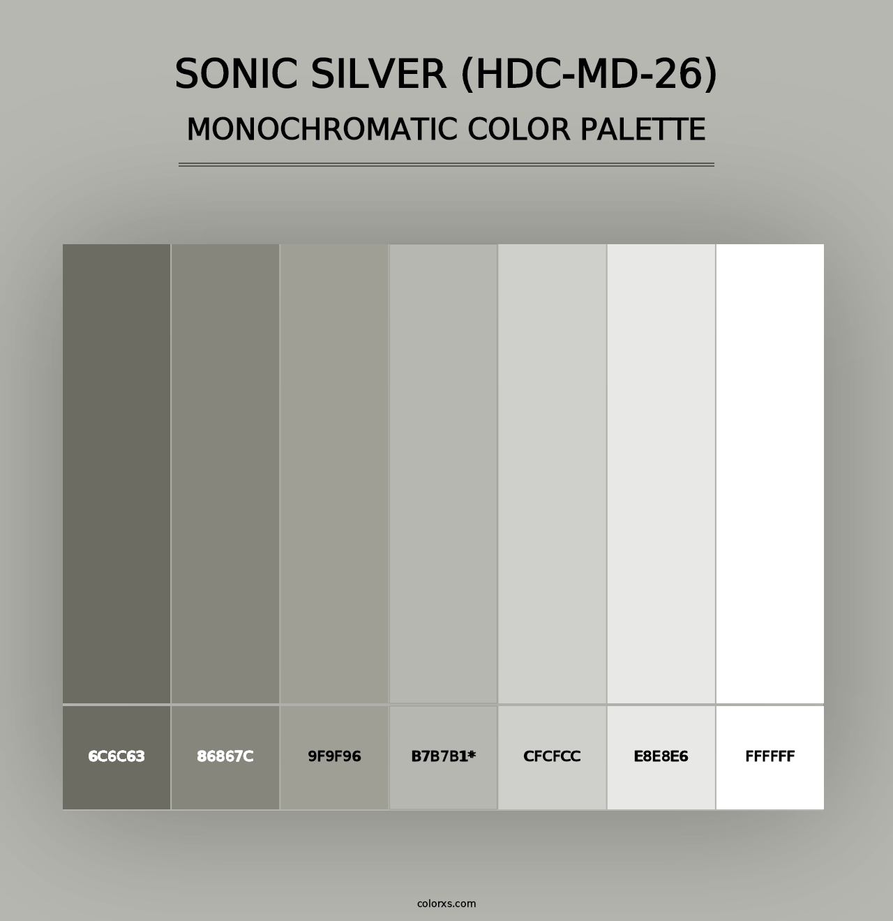 Sonic Silver (HDC-MD-26) - Monochromatic Color Palette