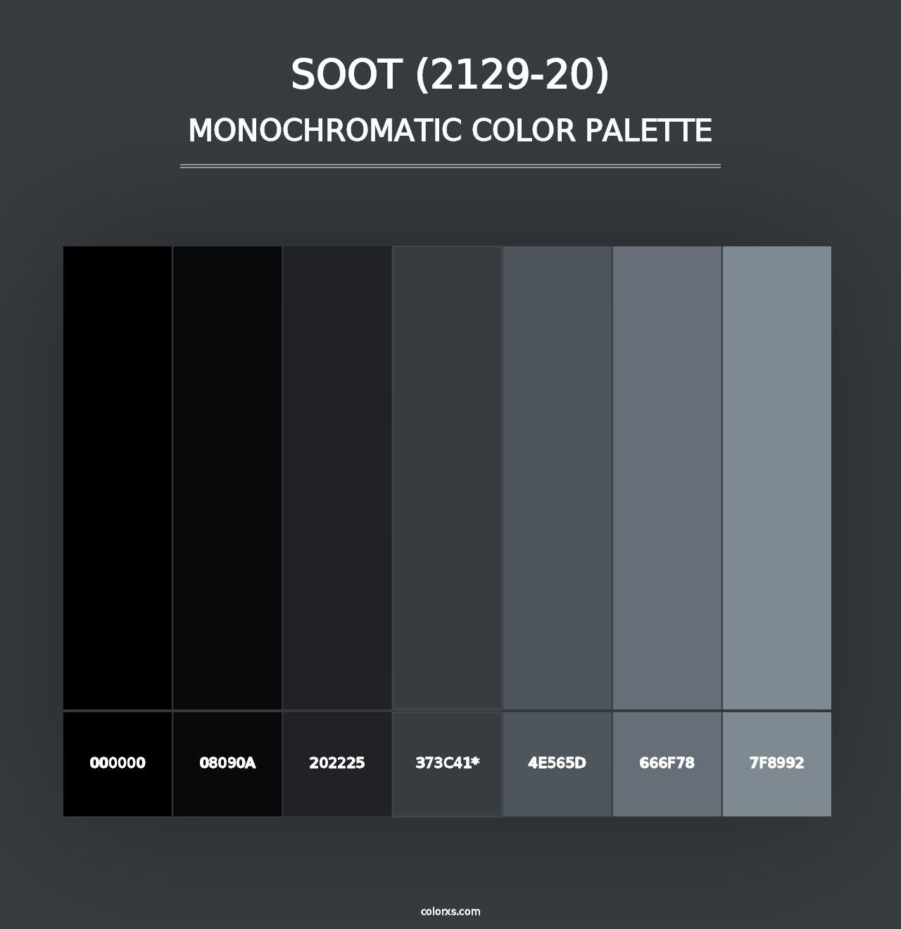 Soot (2129-20) - Monochromatic Color Palette