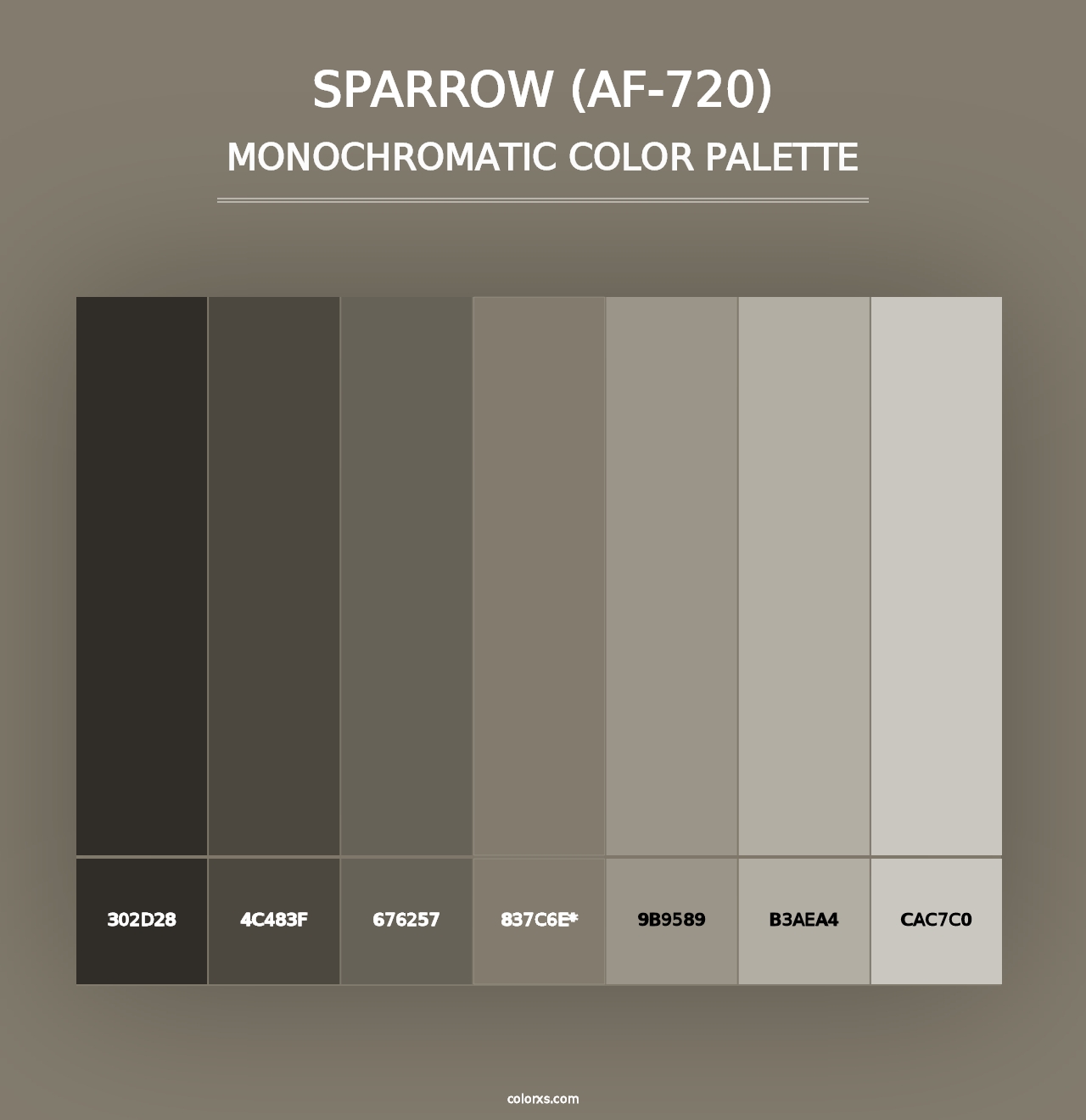 Sparrow (AF-720) - Monochromatic Color Palette