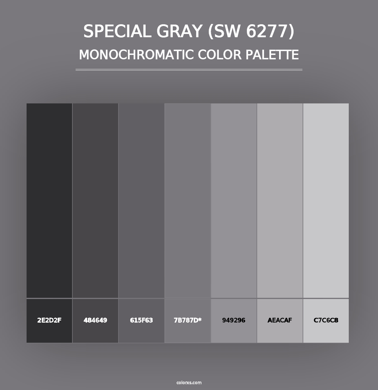 Special Gray (SW 6277) - Monochromatic Color Palette