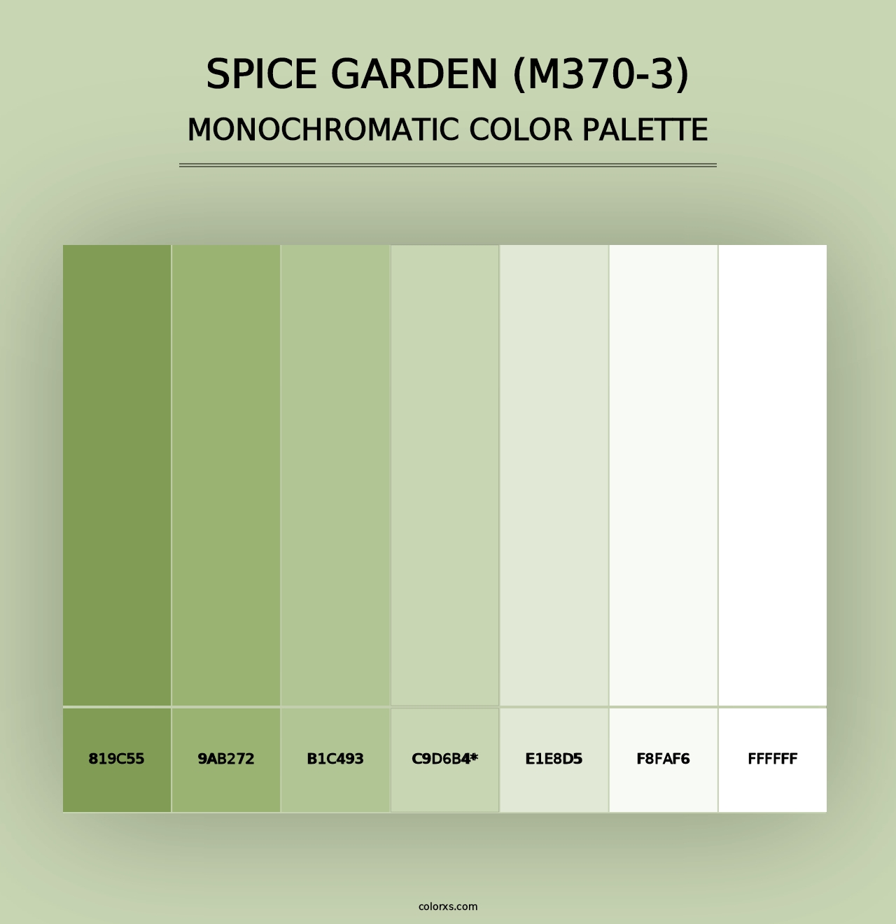 Spice Garden (M370-3) - Monochromatic Color Palette