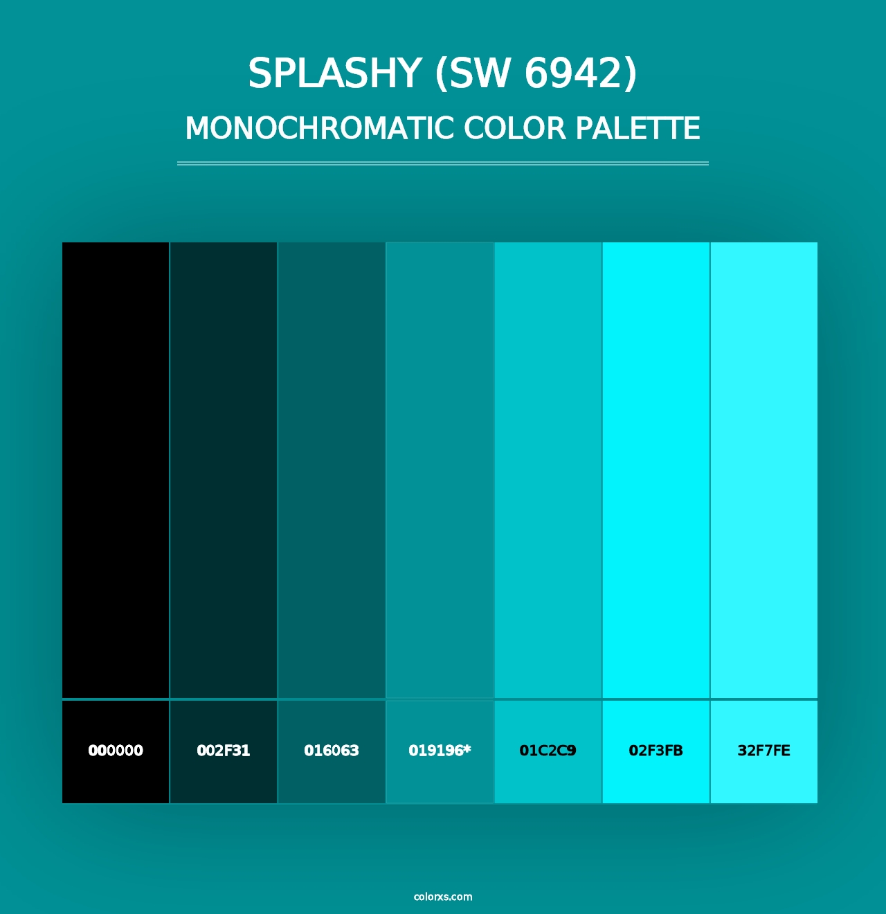 Splashy (SW 6942) - Monochromatic Color Palette