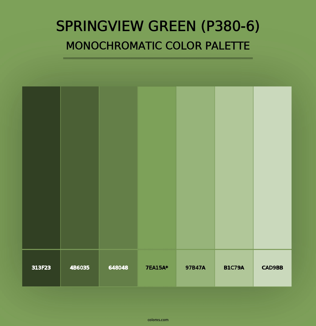 Springview Green (P380-6) - Monochromatic Color Palette