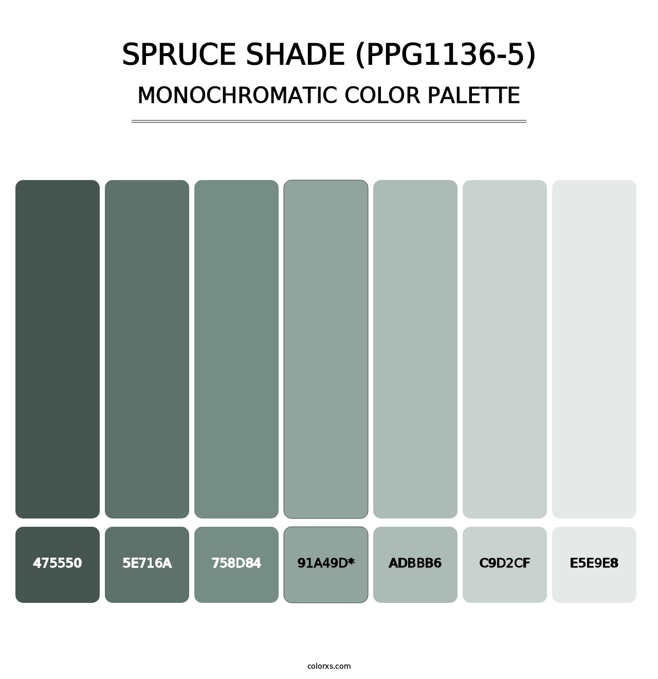 Spruce Shade (PPG1136-5) - Monochromatic Color Palette