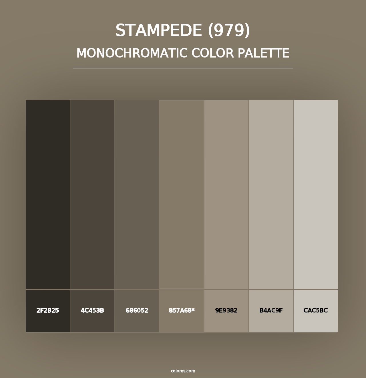 Stampede (979) - Monochromatic Color Palette