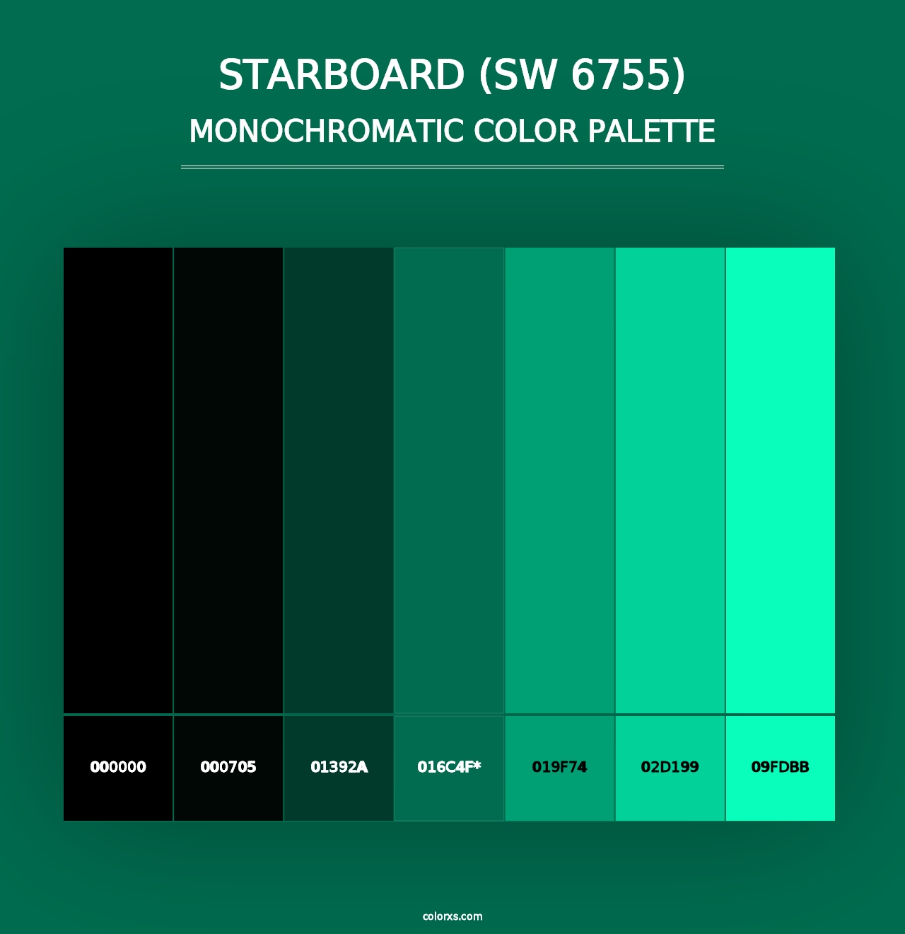 Starboard (SW 6755) - Monochromatic Color Palette