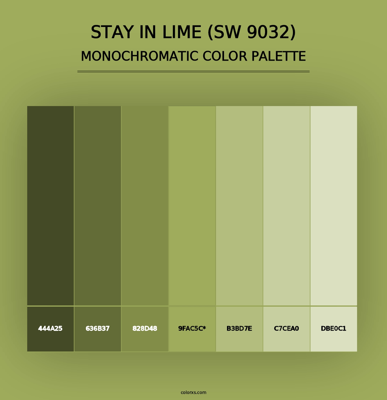 Stay in Lime (SW 9032) - Monochromatic Color Palette