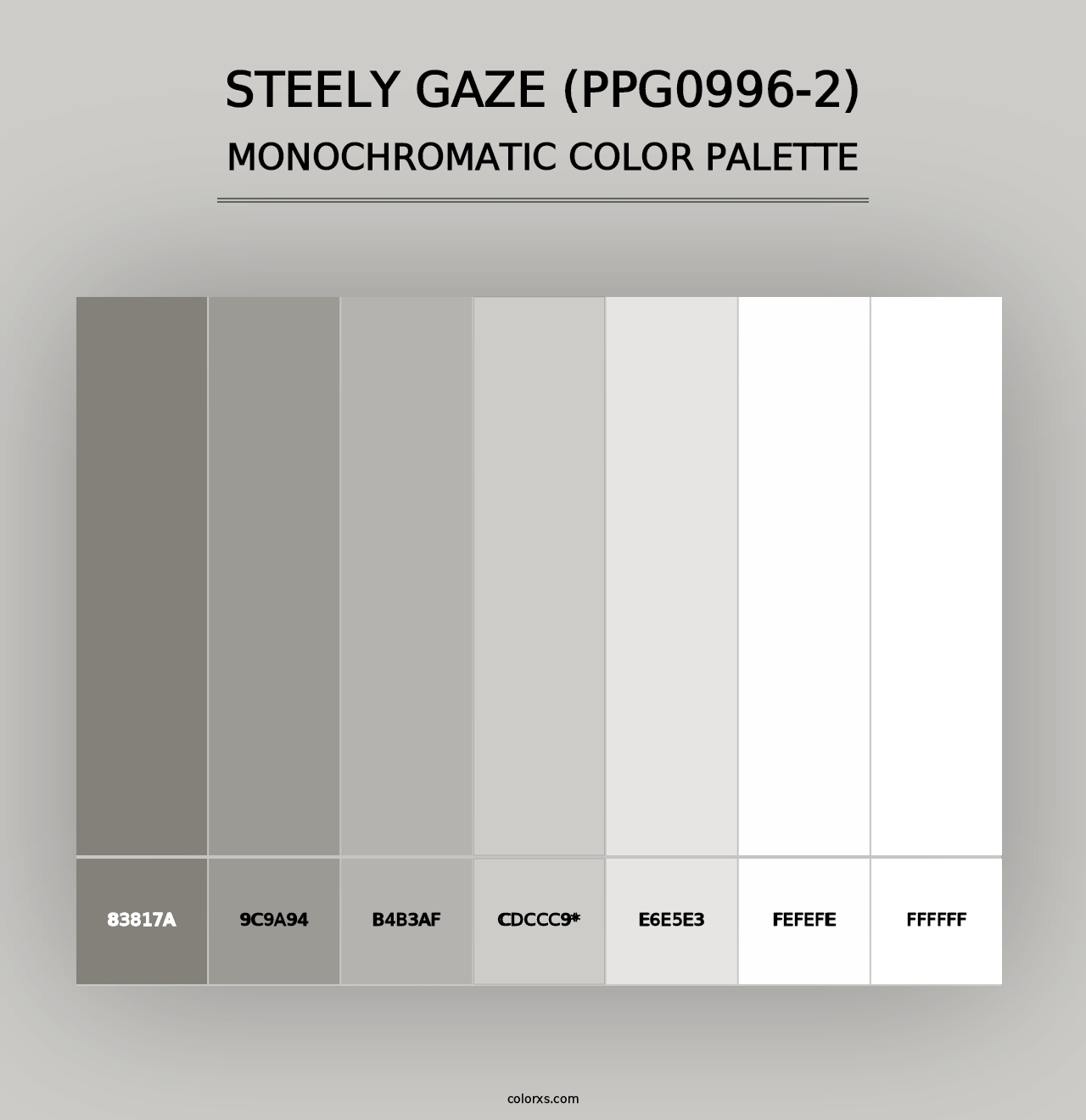 Steely Gaze (PPG0996-2) - Monochromatic Color Palette