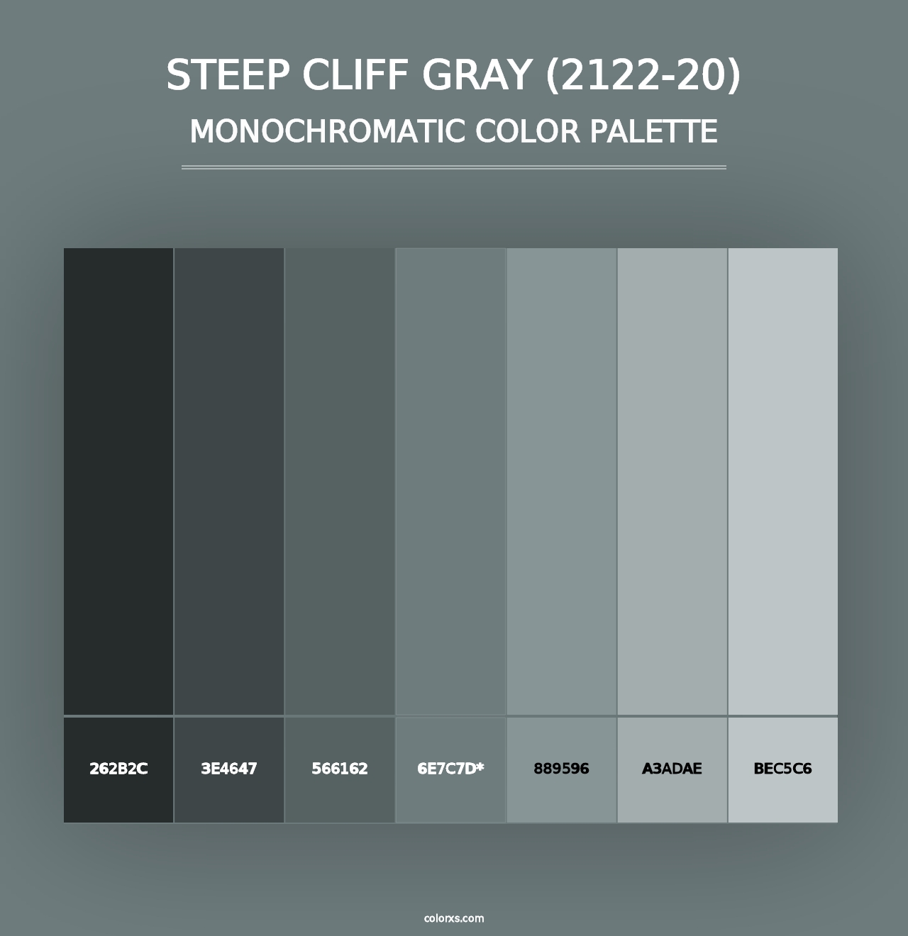 Steep Cliff Gray (2122-20) - Monochromatic Color Palette