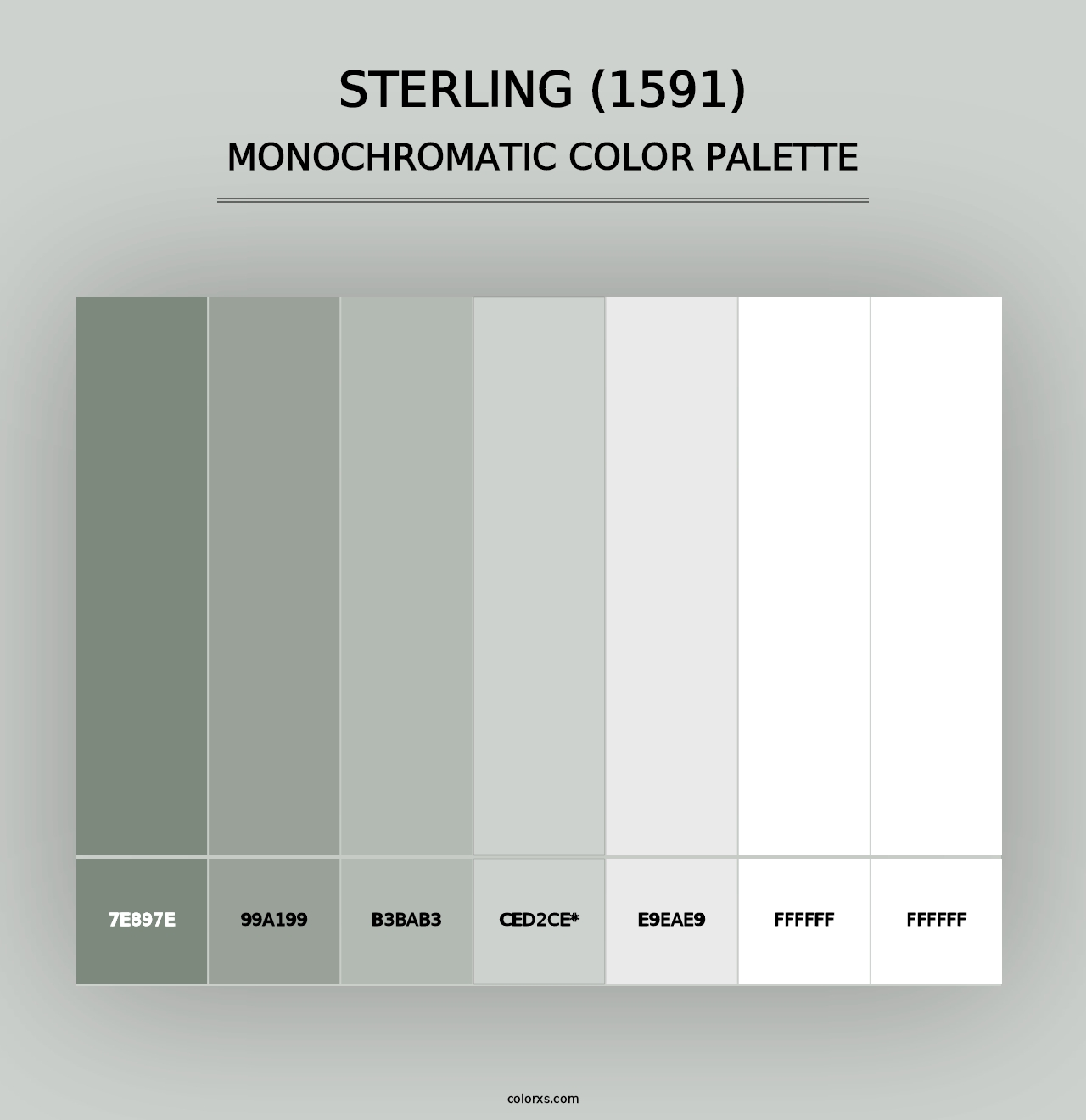 Sterling (1591) - Monochromatic Color Palette