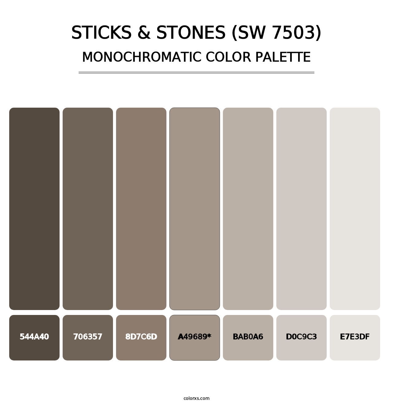 Sticks & Stones (SW 7503) - Monochromatic Color Palette