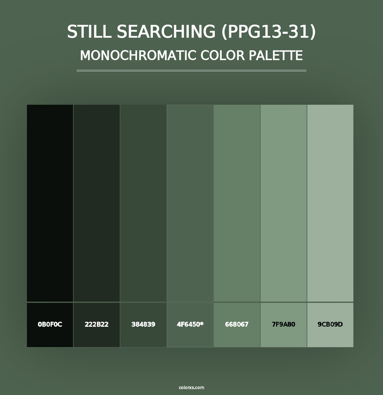 Still Searching (PPG13-31) - Monochromatic Color Palette