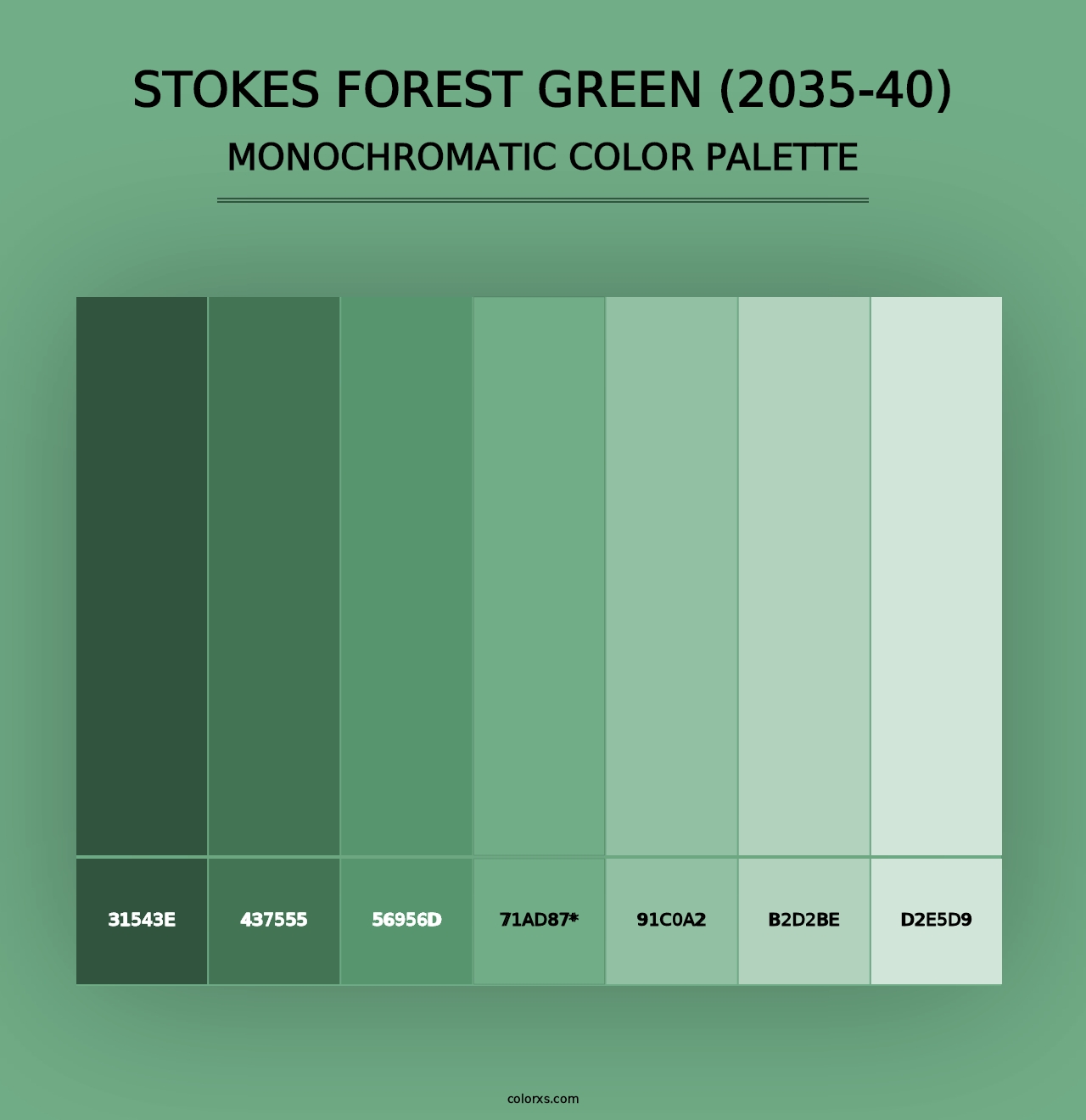 Stokes Forest Green (2035-40) - Monochromatic Color Palette