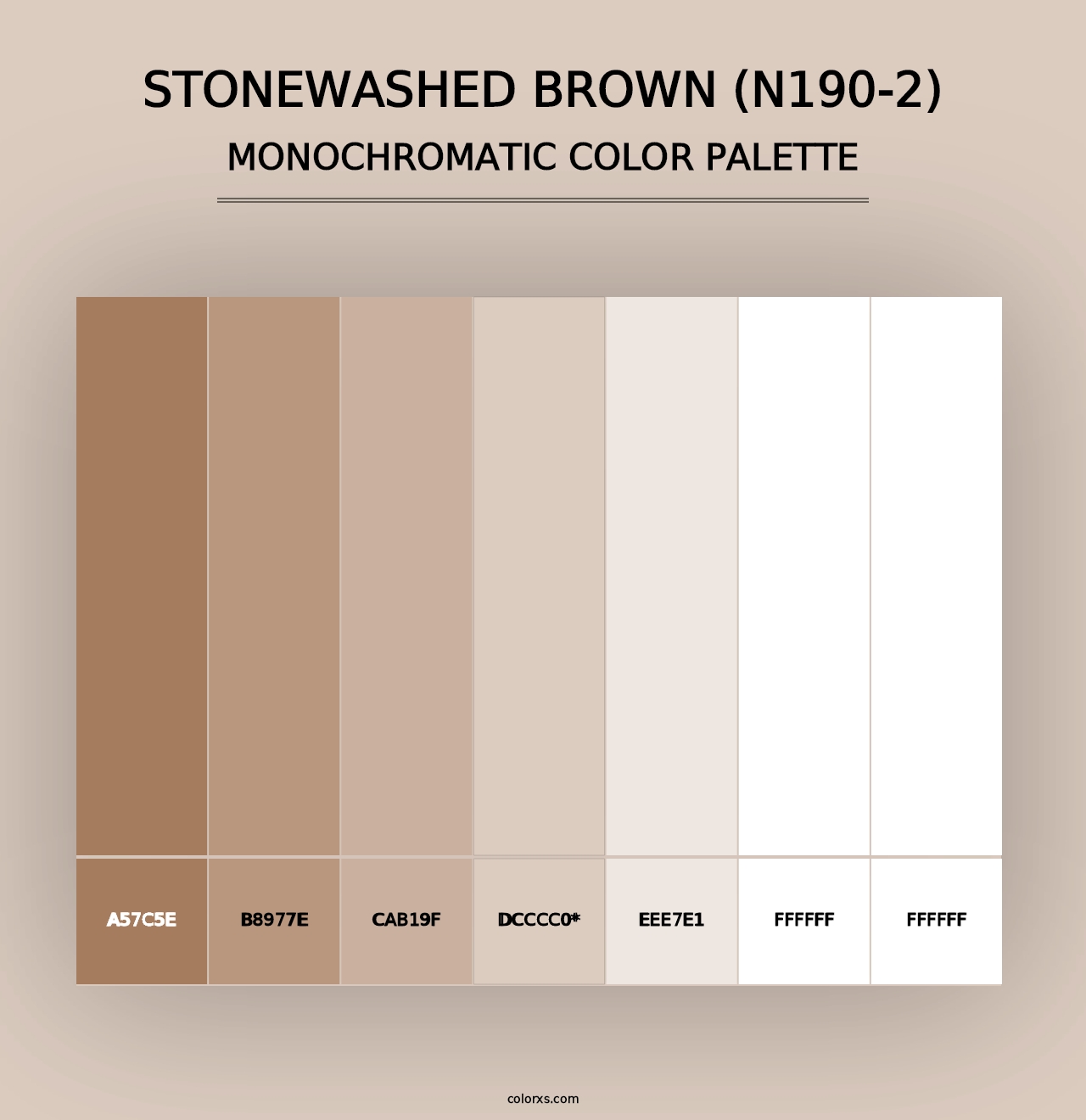 Stonewashed Brown (N190-2) - Monochromatic Color Palette