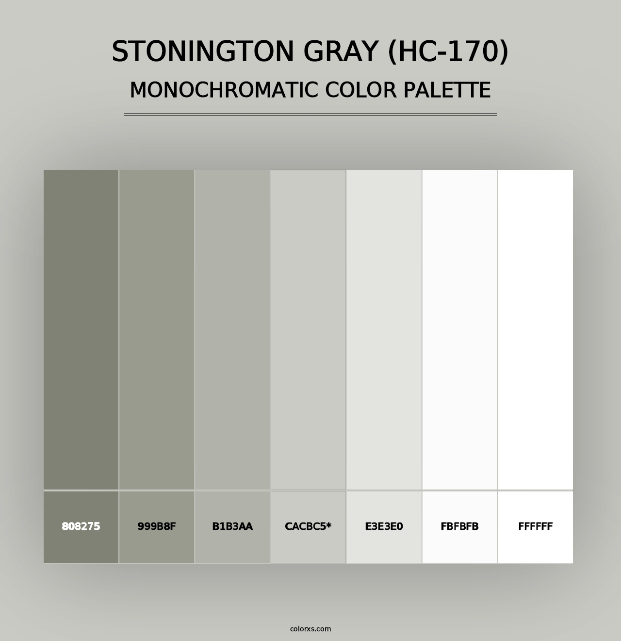 Stonington Gray (HC-170) - Monochromatic Color Palette