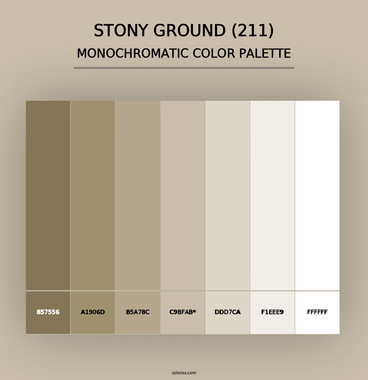 Stony Ground (211) - Monochromatic Color Palette