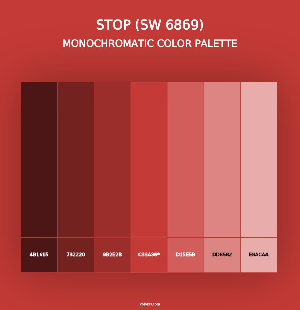 Stop (SW 6869) - Monochromatic Color Palette