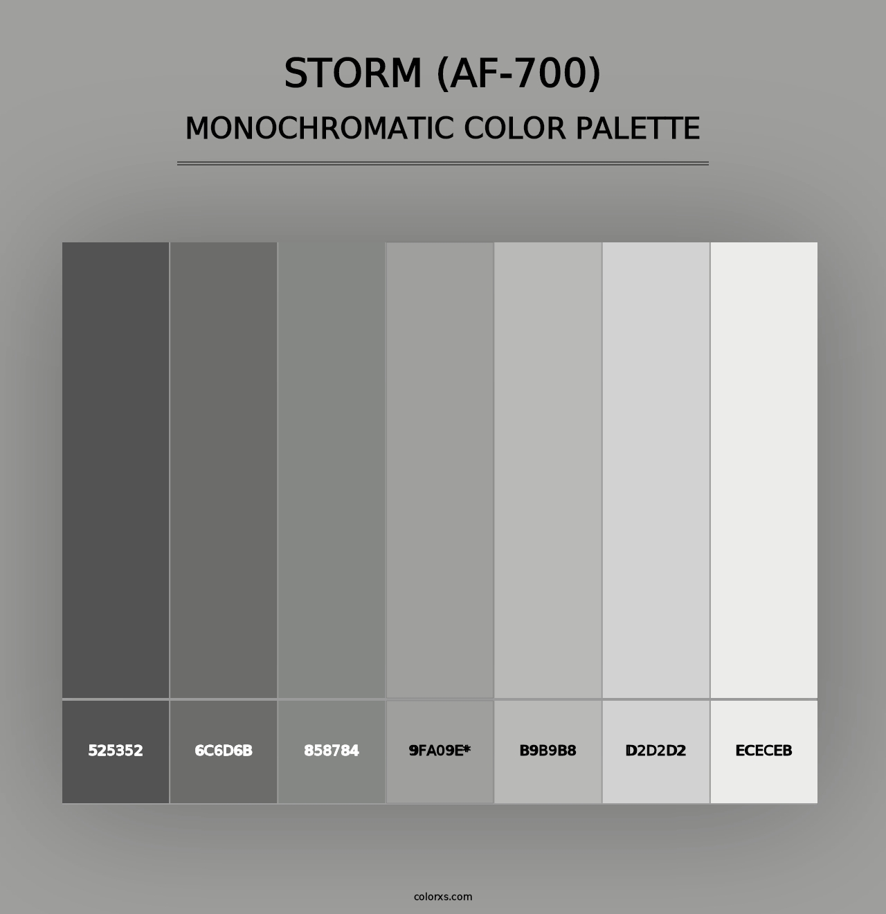 Storm (AF-700) - Monochromatic Color Palette