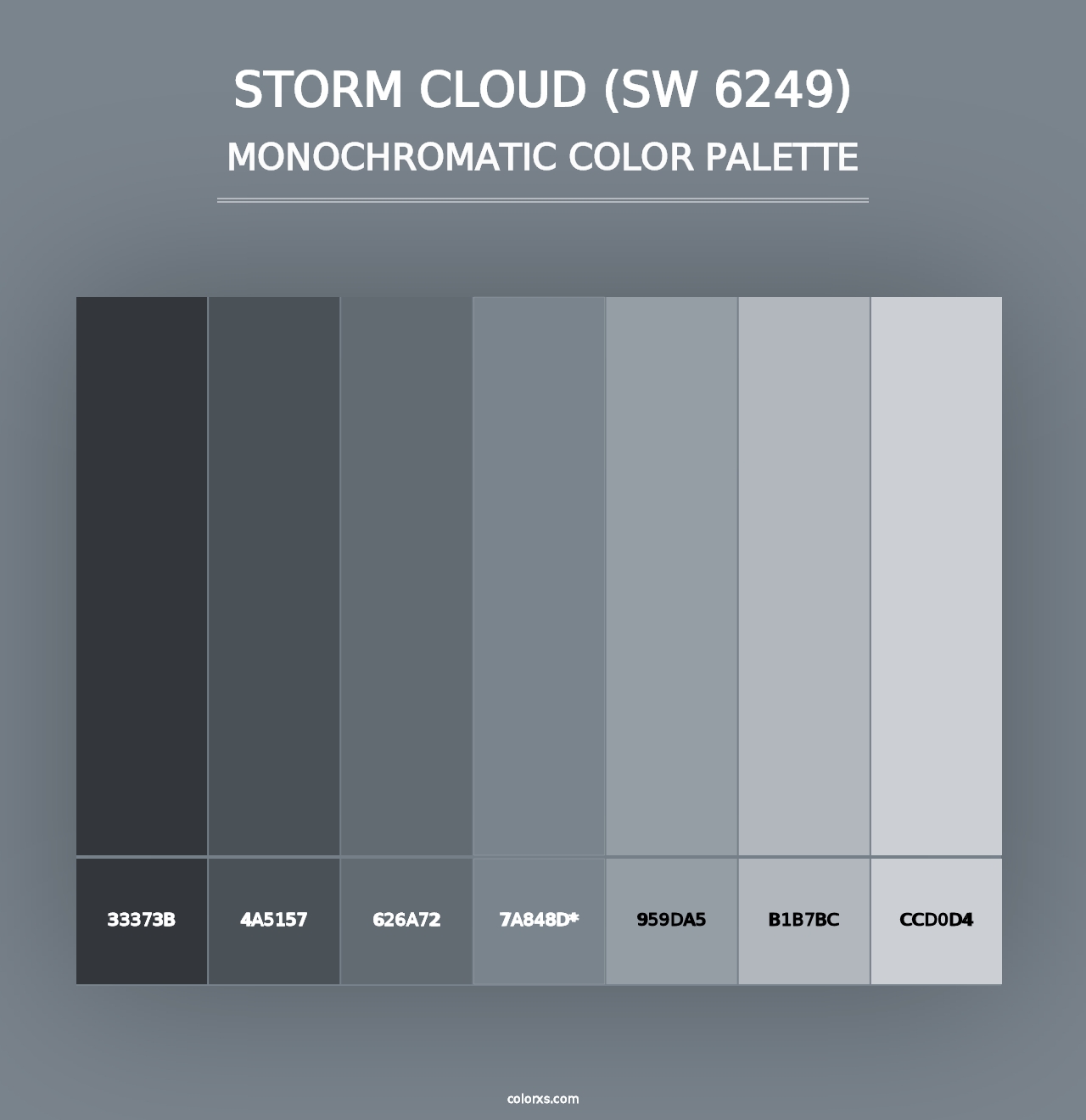 Storm Cloud (SW 6249) - Monochromatic Color Palette