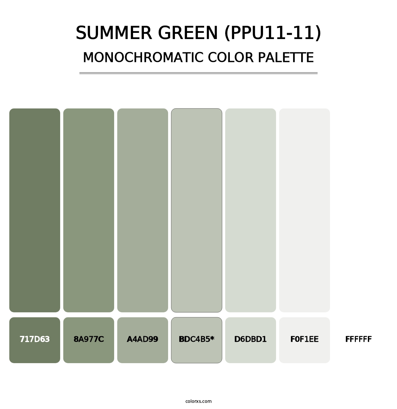Summer Green (PPU11-11) - Monochromatic Color Palette
